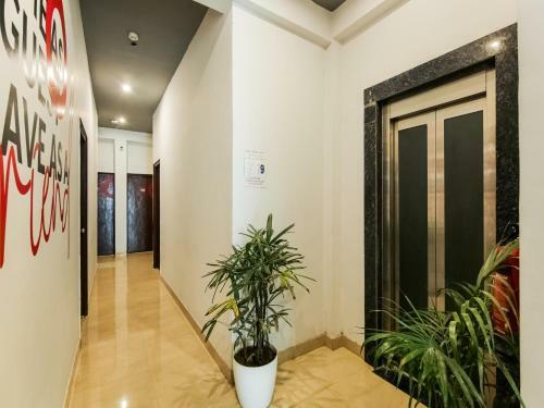 Hotel Collection O 81517 Pearl Inns Executive