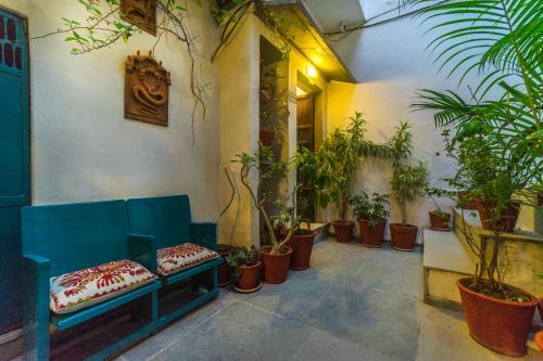 Udaipur Rosie's Retreat. Courtyard Studio
