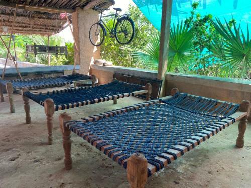 Agroturismo Acharya Farms Udaipur