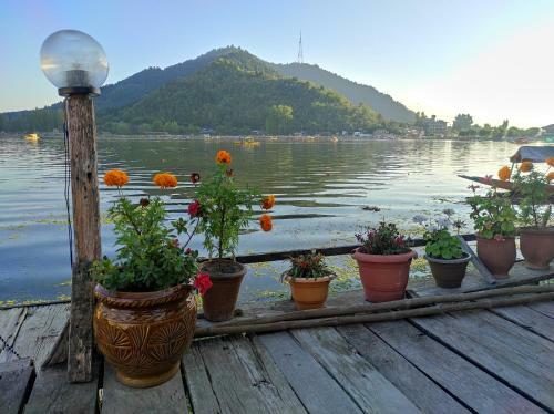 Hotel Houseboat Sheikh Palace