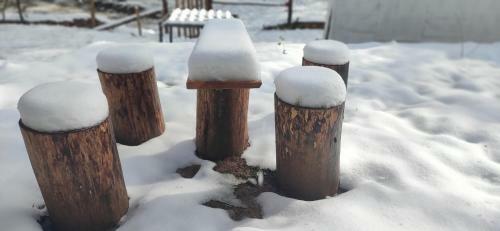 Moustache Woods Of Kausani