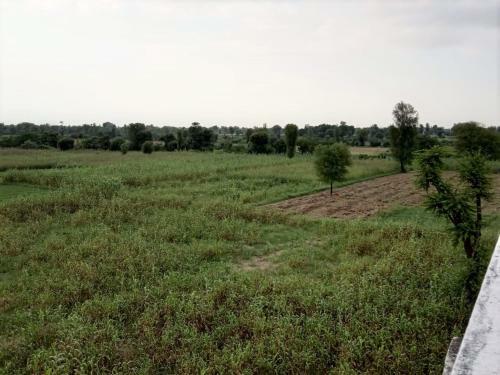 Rajpura Bungalow - A Holiday Home Ranakpur