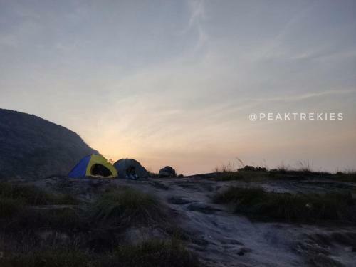 Peaktrekies