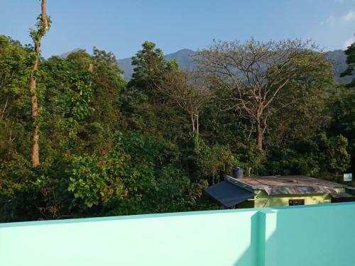 Wayanad Snow Vibes