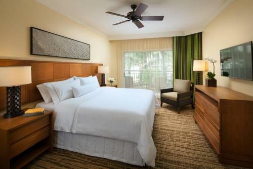 Hotel Westin Ka'anapali Ocean Resort