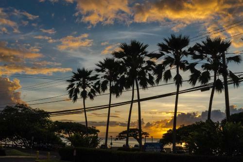 Apartamento Honua Kai - Hokulani 223