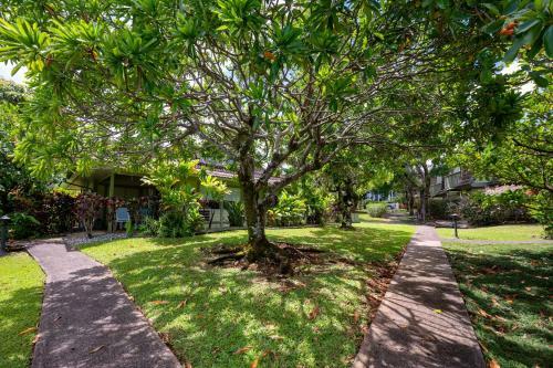 Apartamento Honu Haven Condo