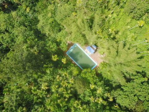Merak Woods Wayanad