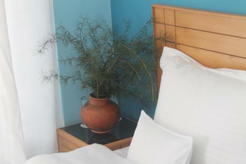 Hostal Junglaat Ecorganic Stays & Experiences