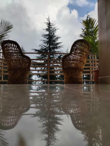 Hostal Junglaat Ecorganic Stays & Experiences