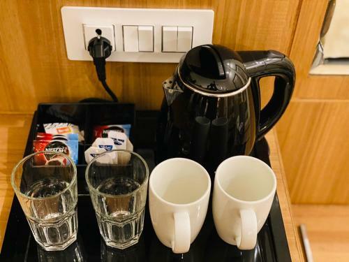 Hotel Alpine Musk