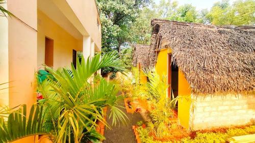 Hotel Pv Resort