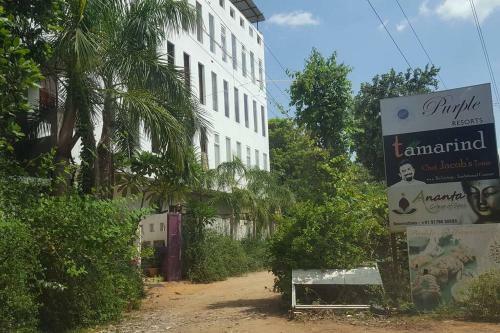 Auroville Purple Studio Apartment