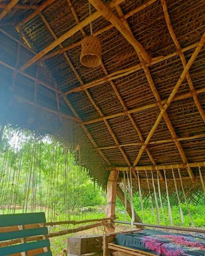 Travellers Tribe Hostel