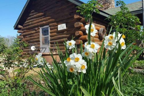 St Louis Metro East Log Cabin