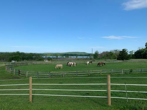 Apartamento Riverview Ranch And Resort
