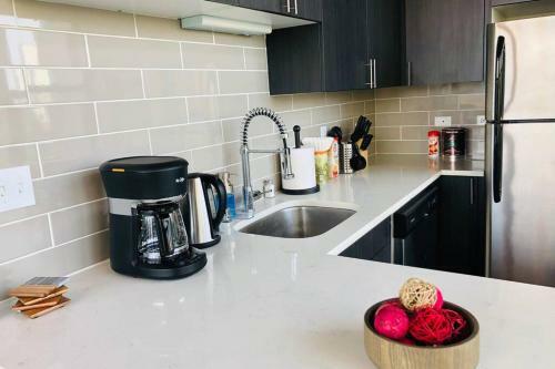 Luxury Corner Apartment In Downtown Chicago