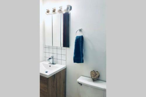 Chic Comfy Apartment 10 Min From Down-town Chicago