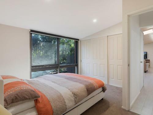 The Maculata Retreat