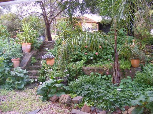 Bed & Breakfast Trevalia Accommodation