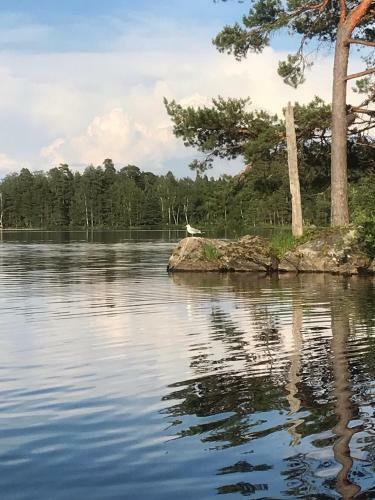 Lodge Joarsbo, Stuga 2, "g�rdsstugan"