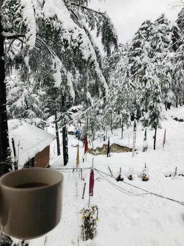 Homestay Neelkanth