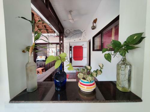 Munroeisland Backwaters Homestay