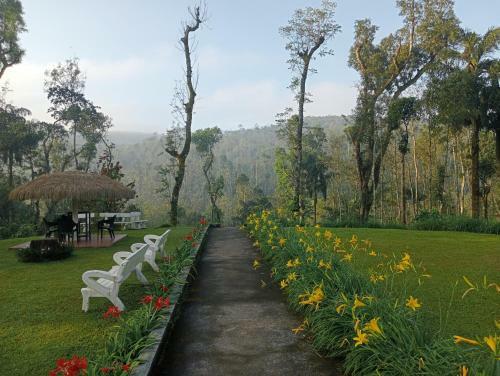 Moonmist Homestay