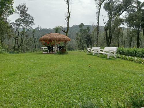 Moonmist Homestay