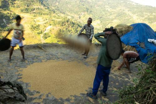Agroturismo Daara Pari Farm