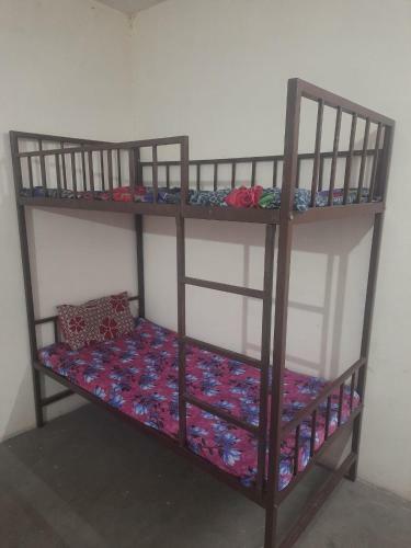 Bed & Breakfast Rbs Pg & Accommocation