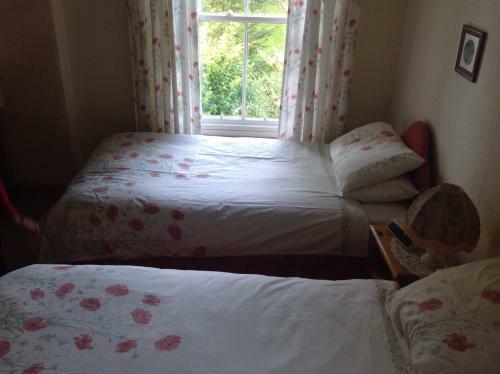 Bed & Breakfast Bradridge Farm