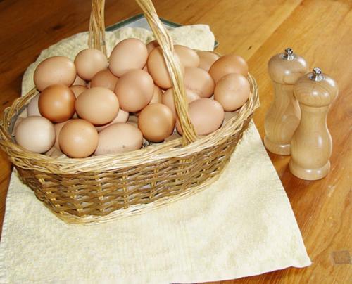 Bed & Breakfast Bradridge Farm