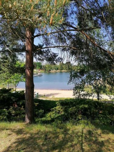 Apartamento See Ferienwohnung 2 M�hlauer See