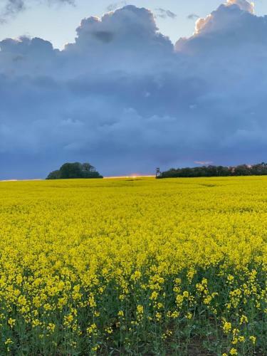 Apartamento Ferienwohnung Gerda