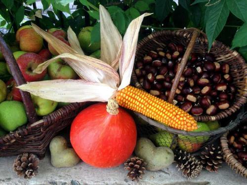 Agroturismo G�stehaus Minkel
