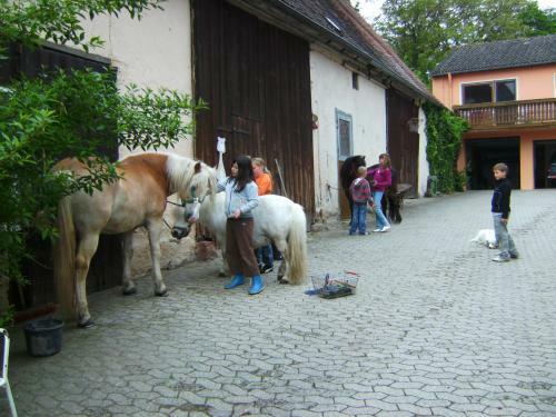 Apartamento Ferienhof Amslinger
