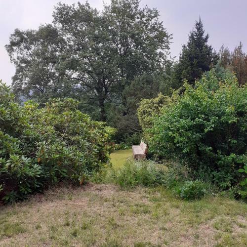 Apartamento G�stehaus Freilichtblick