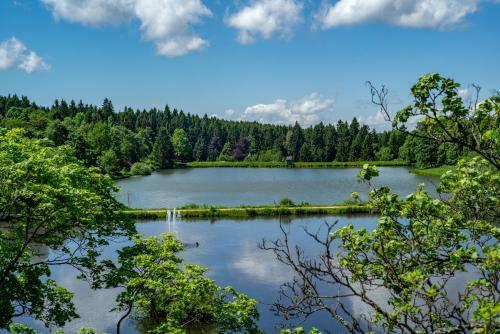Apartamento Harz Appartement