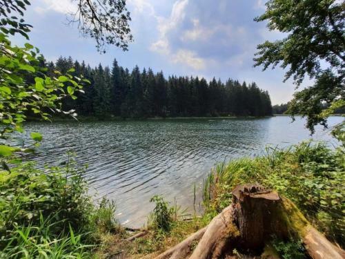 Apartamento Genuss Im Harz