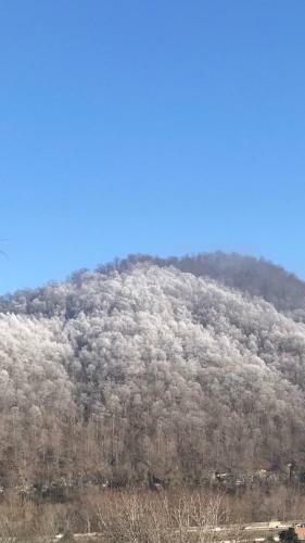 Pine Mountain Bed & Breakfast