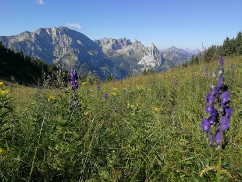 Apartamento Landhaus Im Allg�u