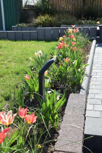 Hostal Pension Wiesner