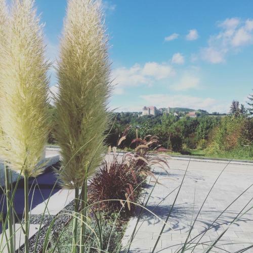 Apartamento Appartement Burgblick