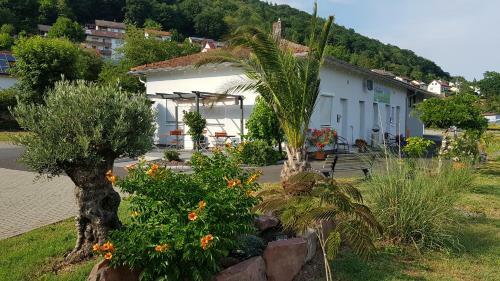 Apartamento Travelers Home