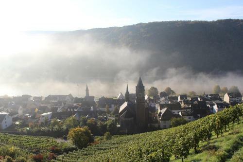 Hotel Winzerhof Gietzen