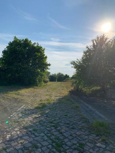 Apartamento Lindenhof