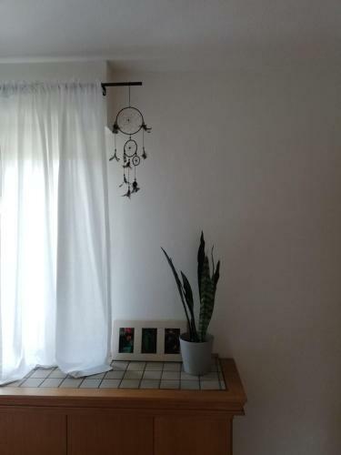 Apartamento Bertha�s Home
