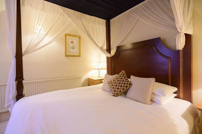 Hotel The Swan