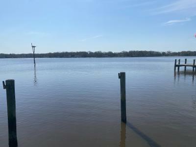 Chester River Waterfront, Magnificent Views, Dock, Beach, Close 2 Town